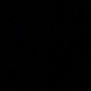 Meet your Posher, Mya